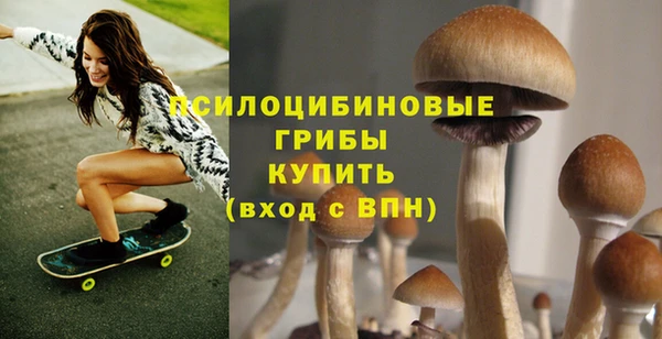 шишки Липки
