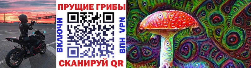 Псилоцибиновые грибы прущие грибы  Купить закладки  Лихославль 